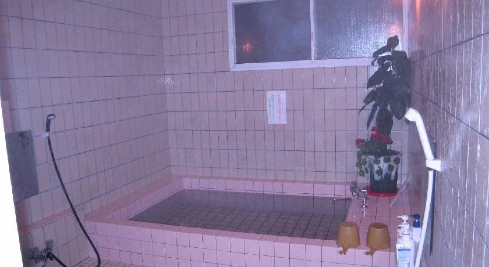 Pension Hakuba Tsushin