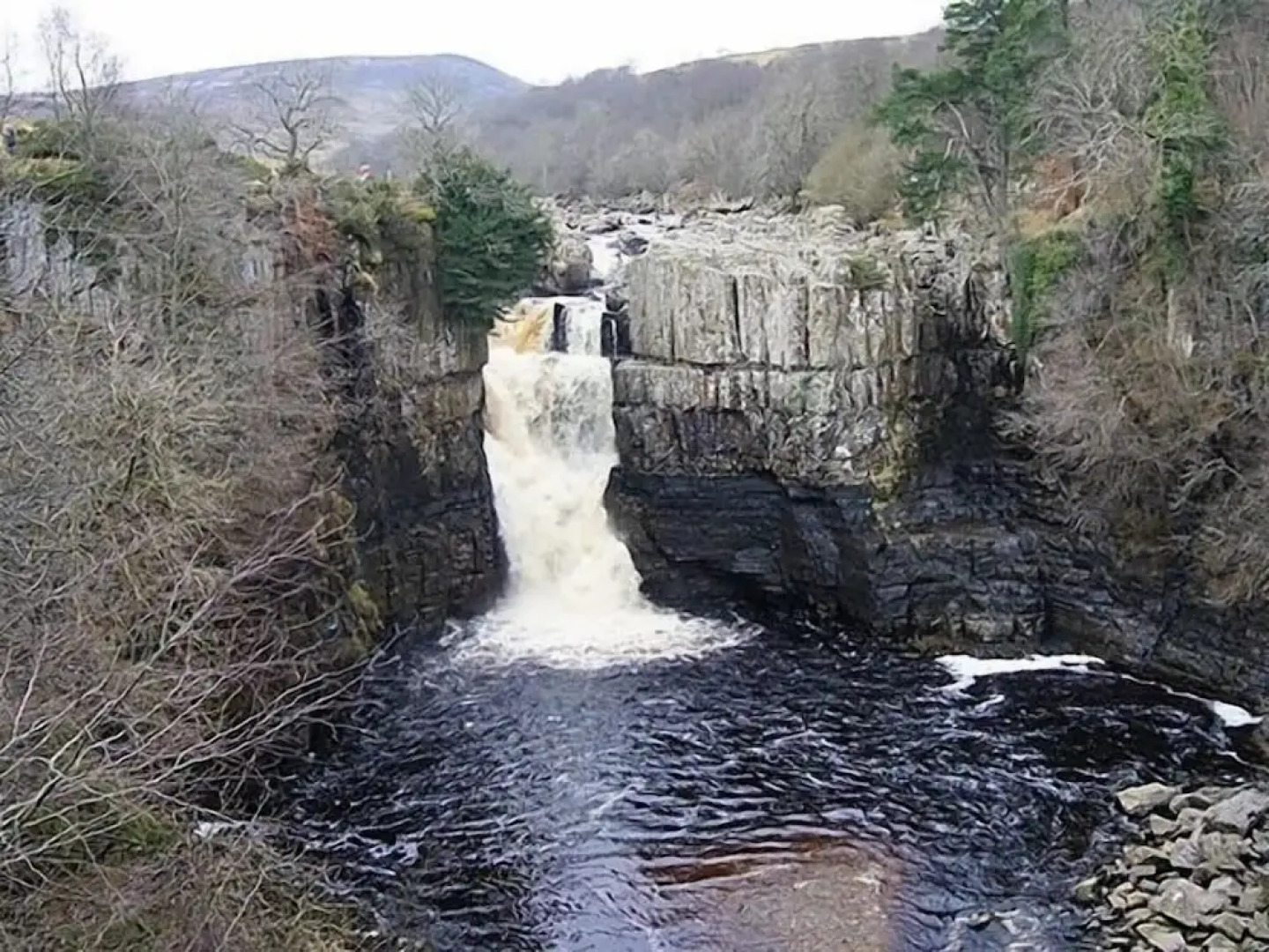 Forresters Bar & Restaurant with Rooms