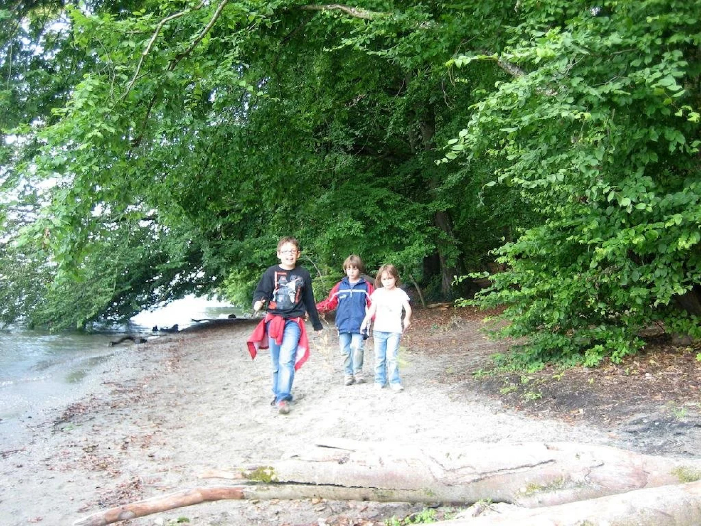 Storchennest