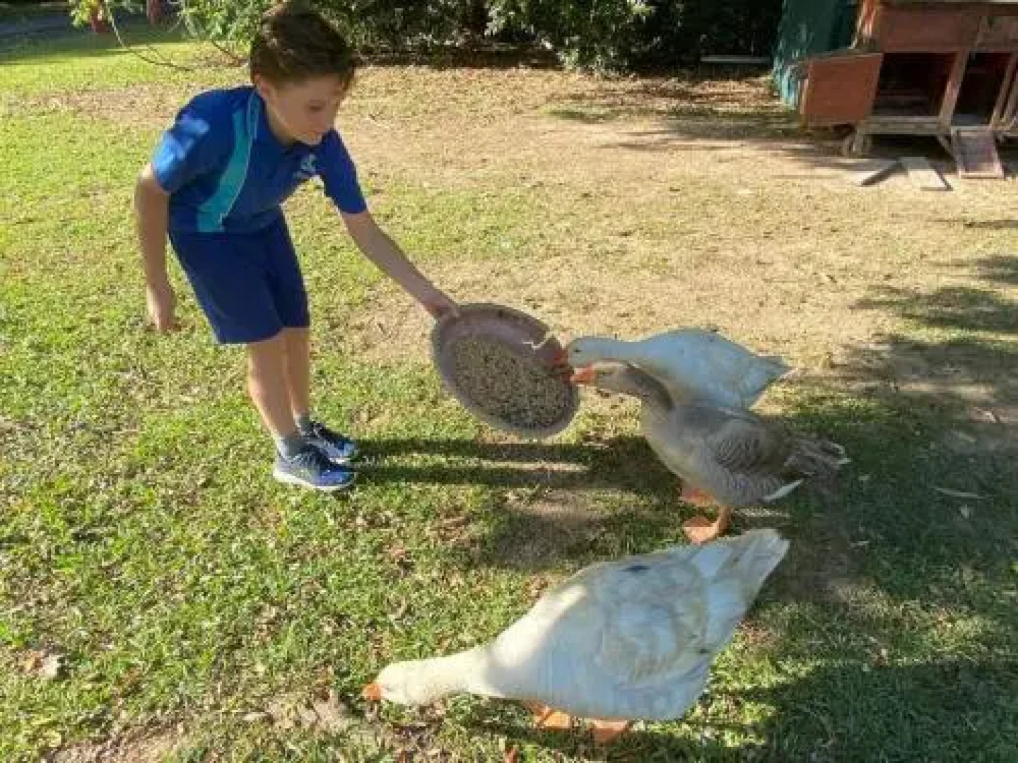 Pinbarren Green Lodges Noosa