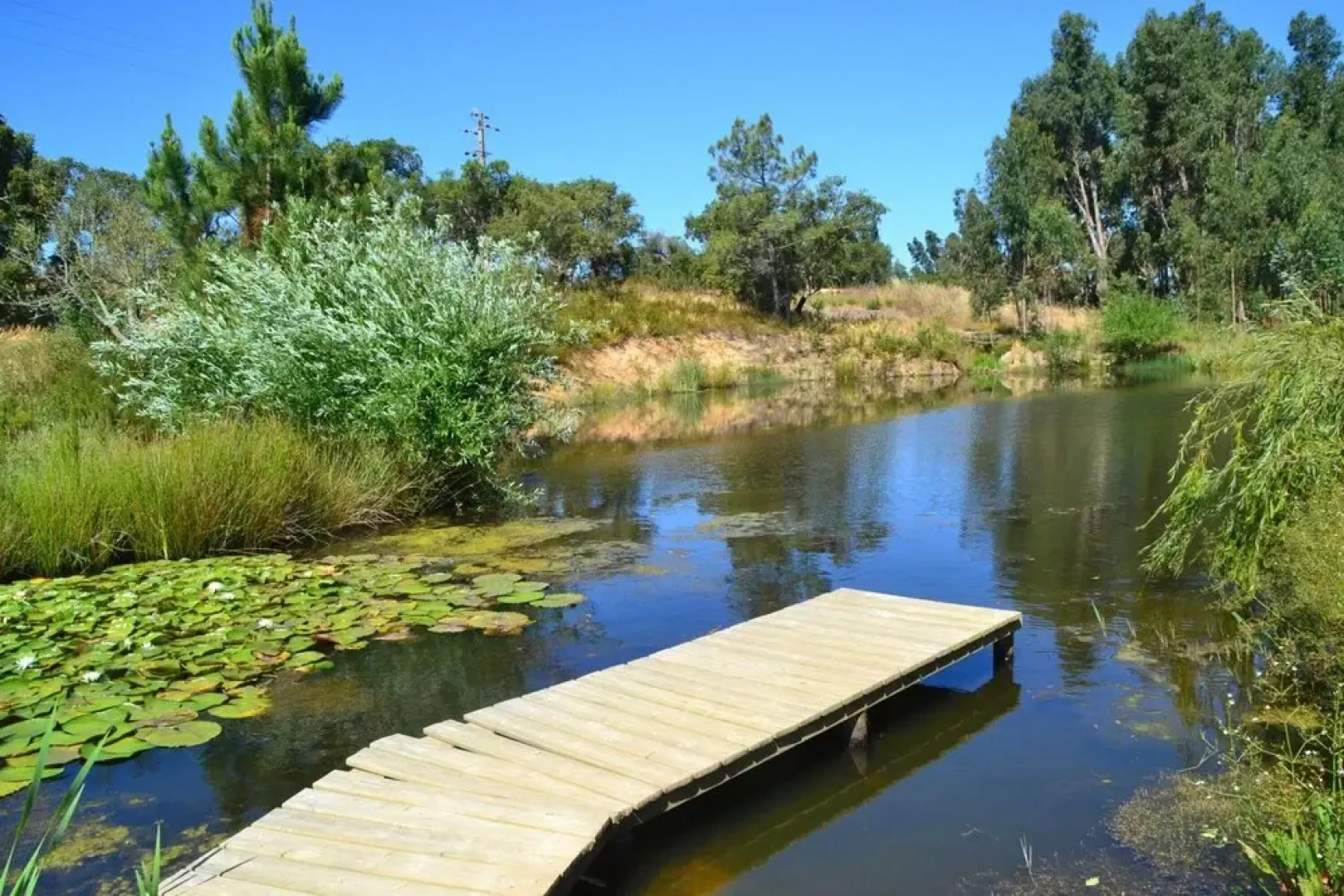 Turismo Rural Monte João Roupeiro