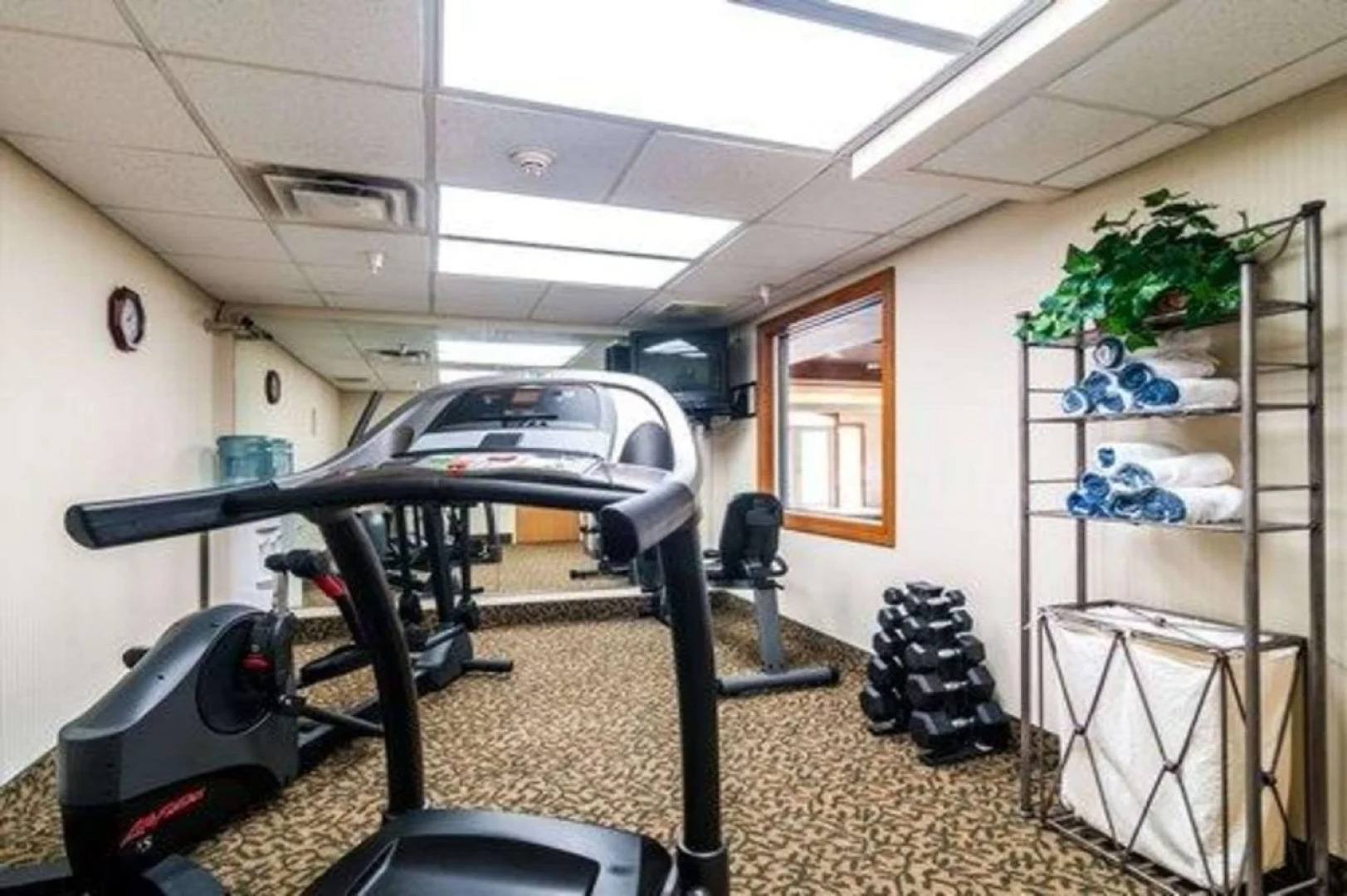 Comfort Inn & Suites Geneva - West Chicago