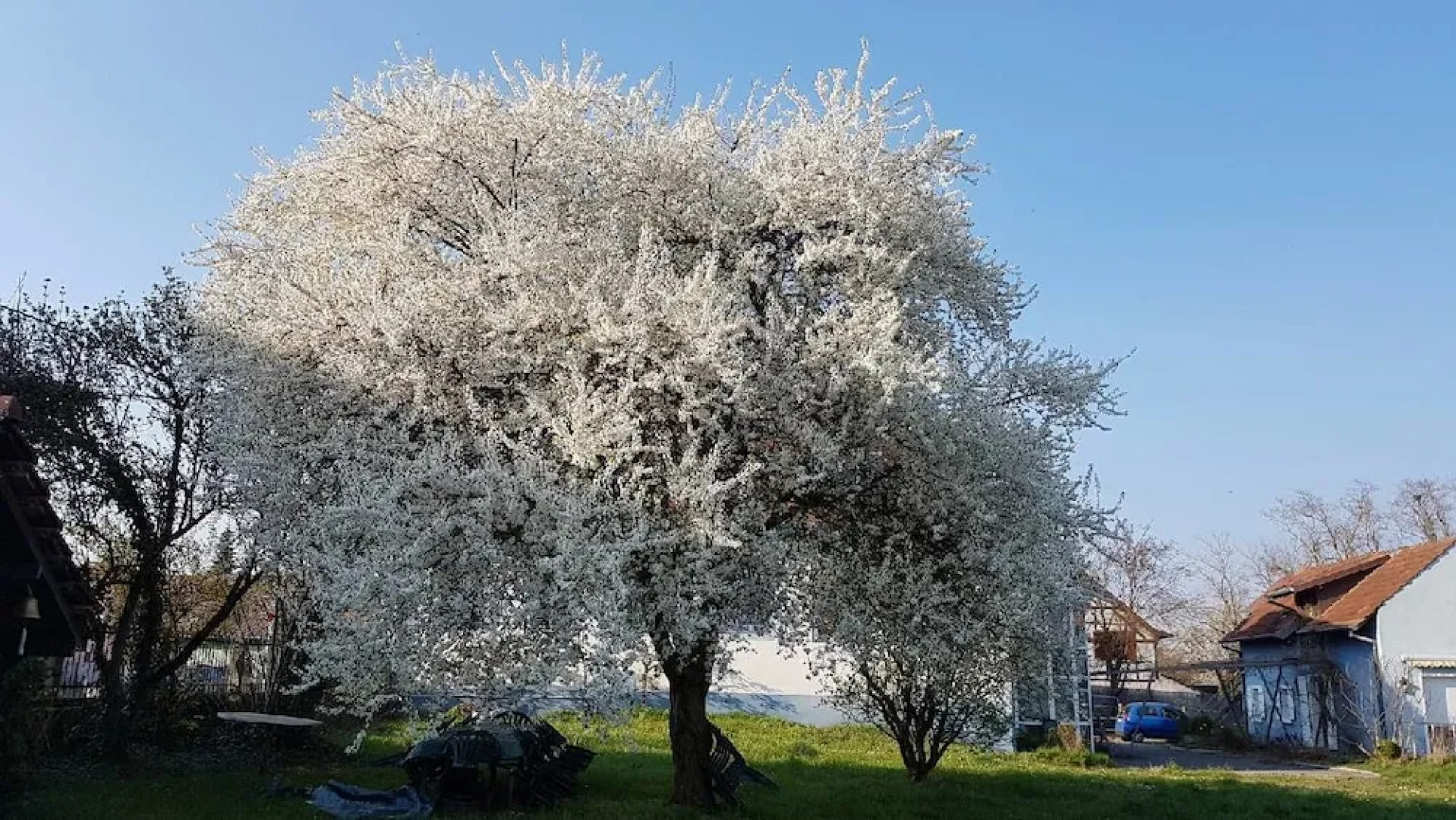Maison de Maître in the Countryside