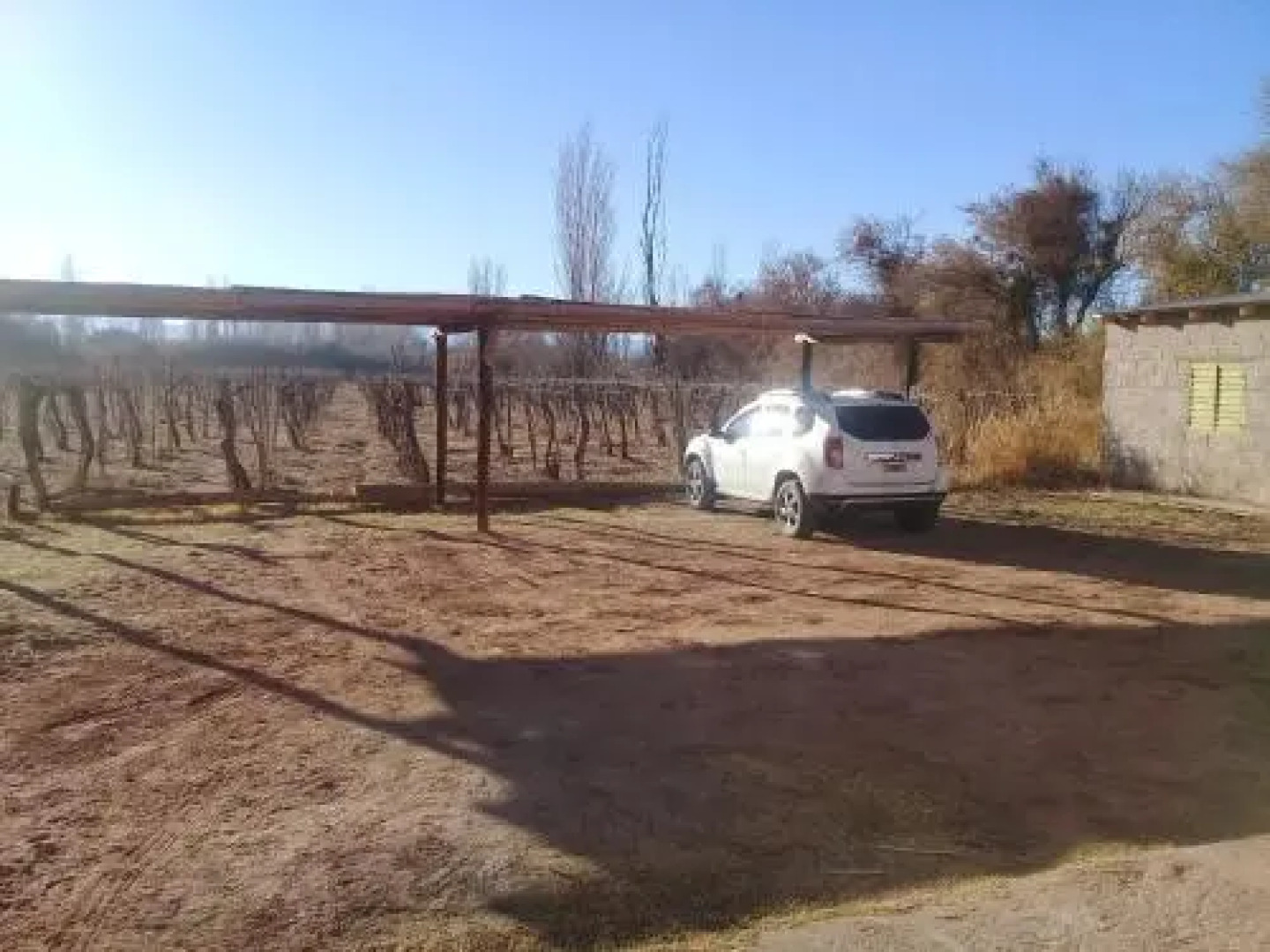 Hostel banda florida