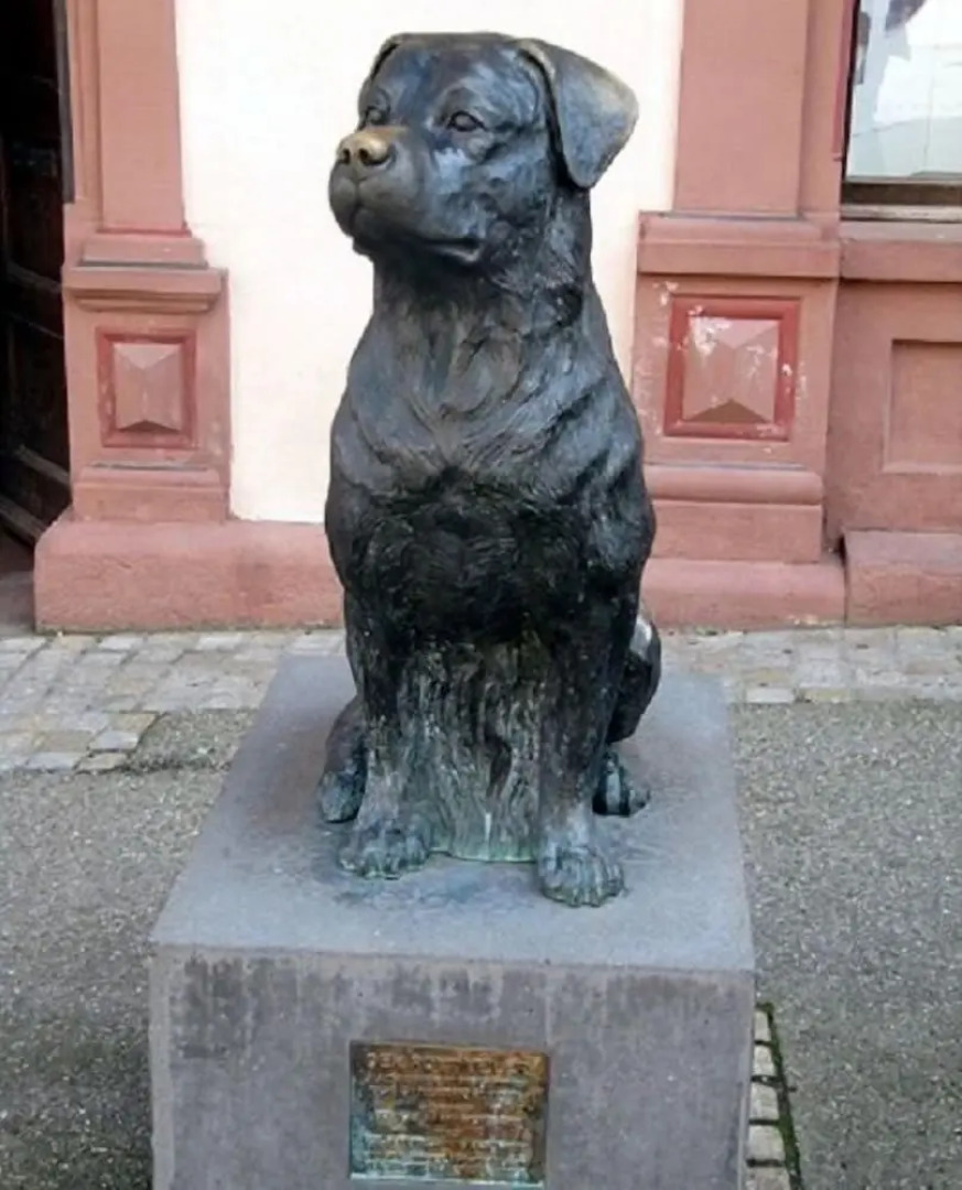 Bärenhof Rottweil