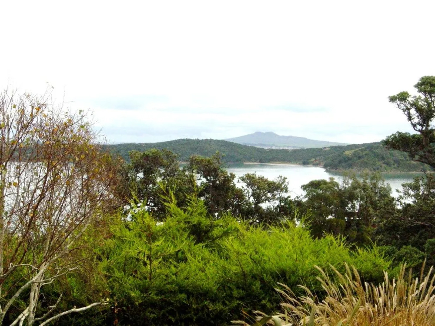 Waiheke Island Vineyard Holiday Houses
