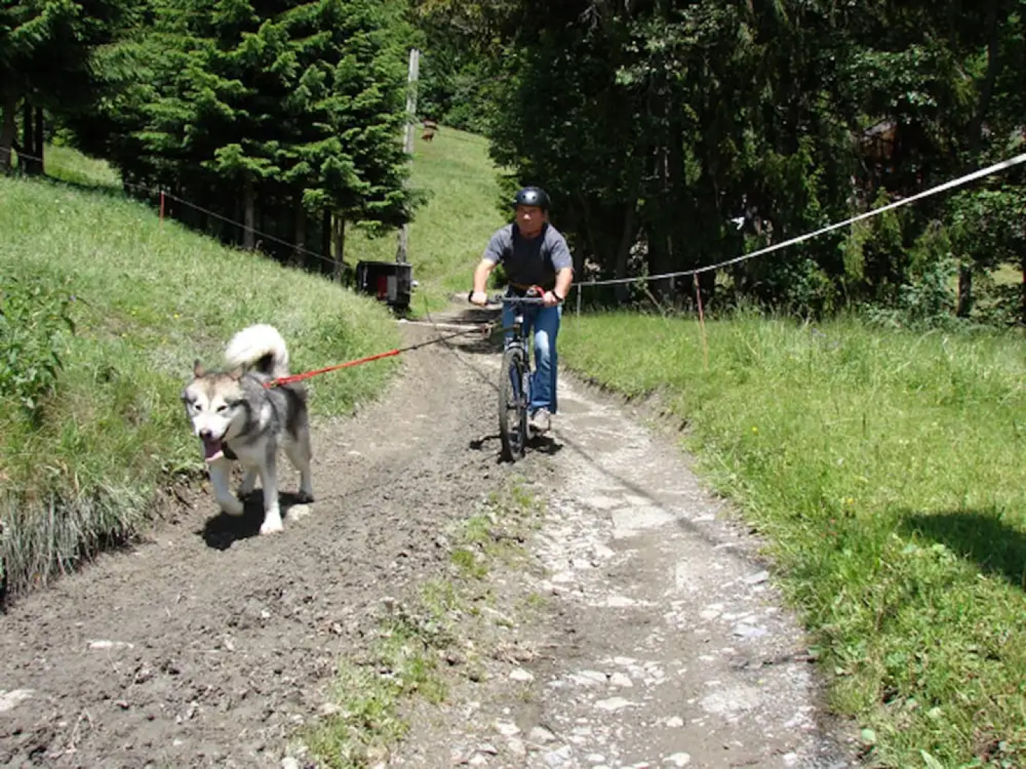 Les Chalets Autrichiens