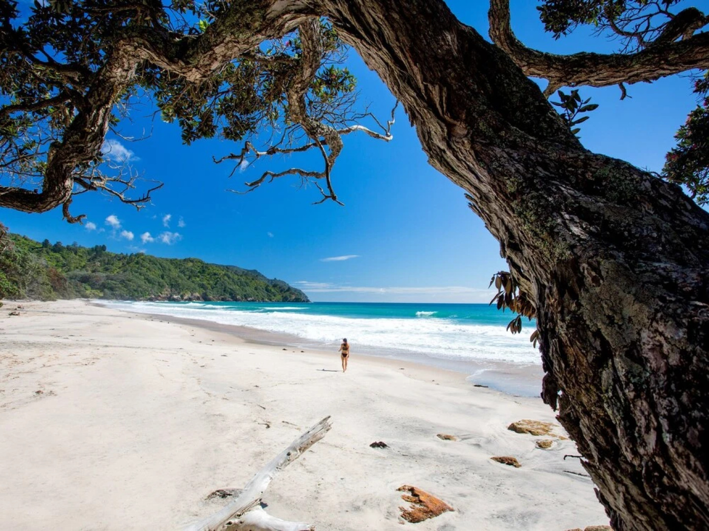 Waihi Beach TOP 10 Holiday Resort