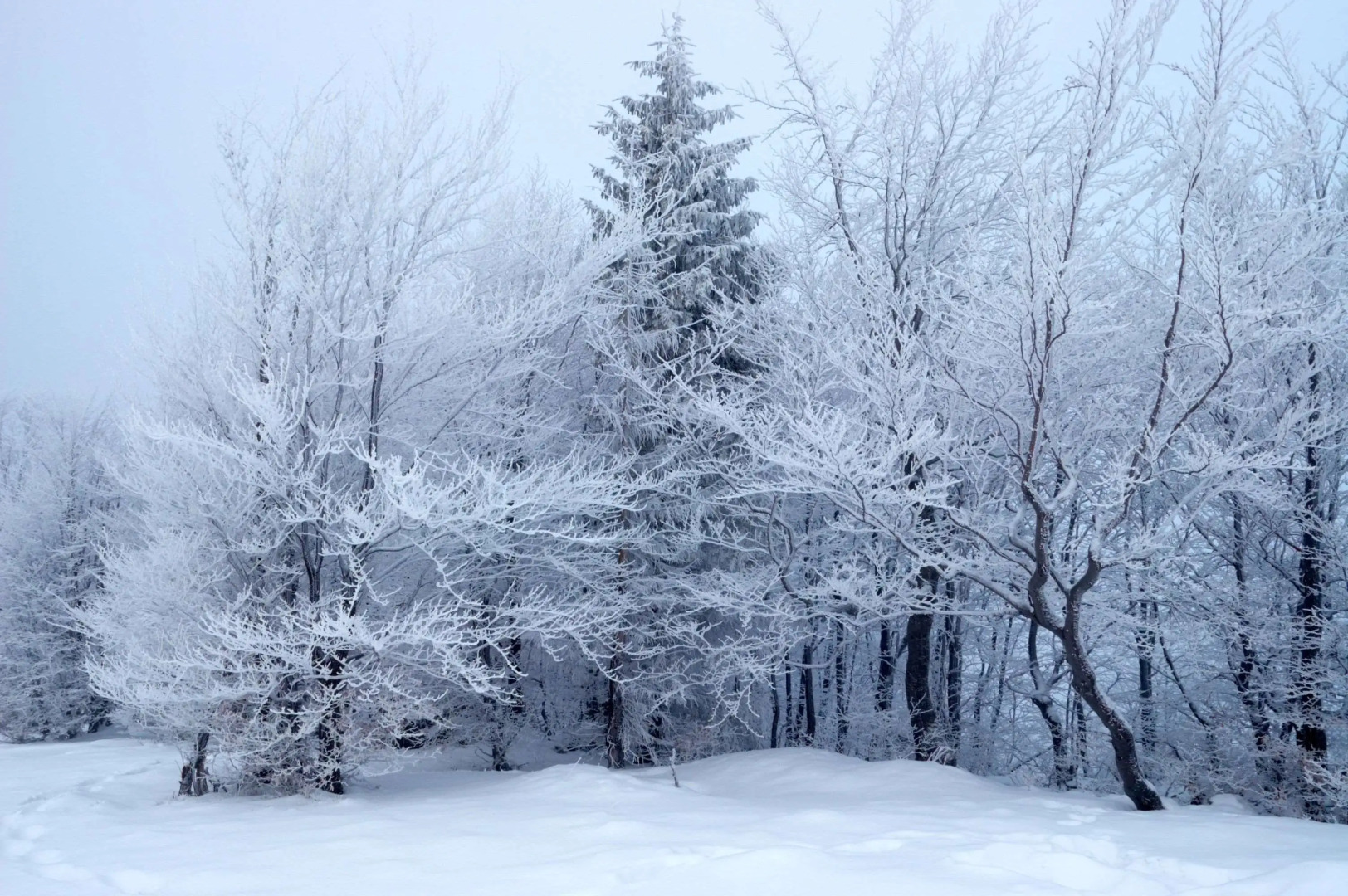 Astralis Hotel Domizil