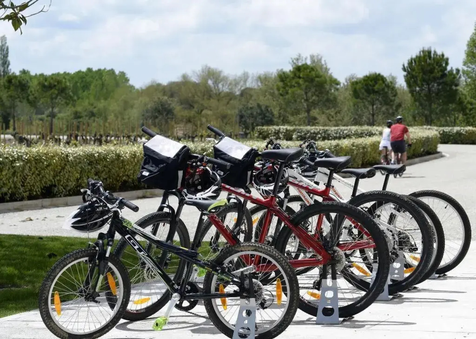 Abadia Retuerta Ledomaine