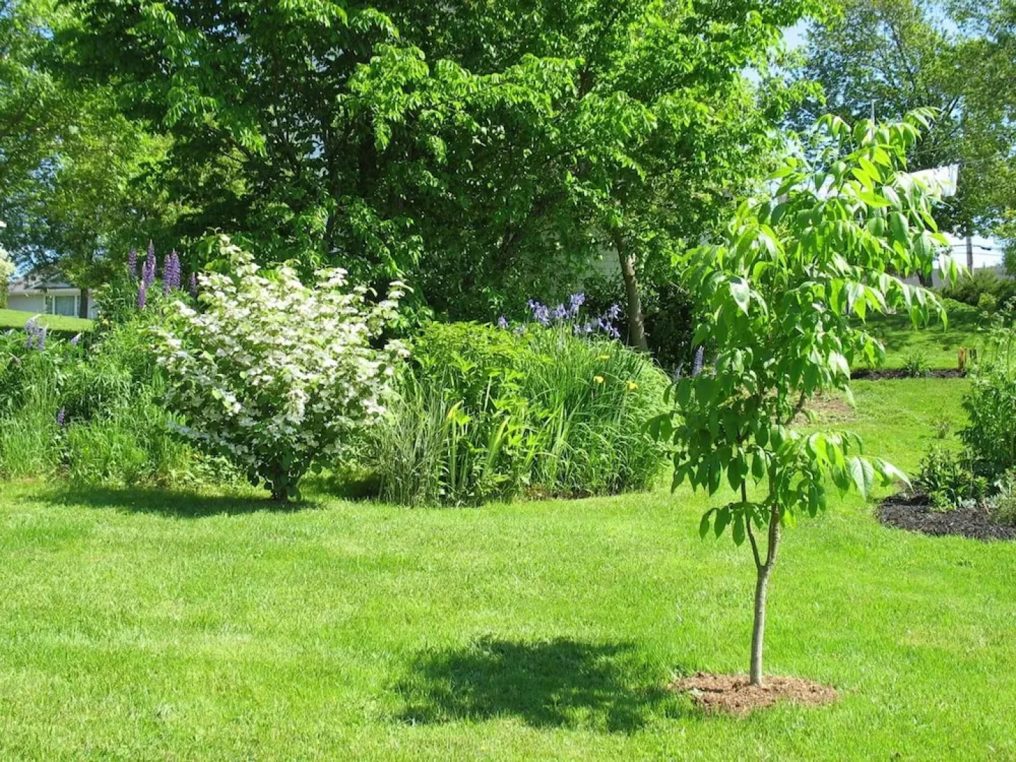 The Nelson House Bed & Breakfast