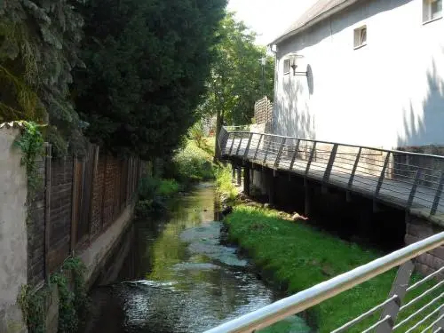 Ferienwohnung Orchidee