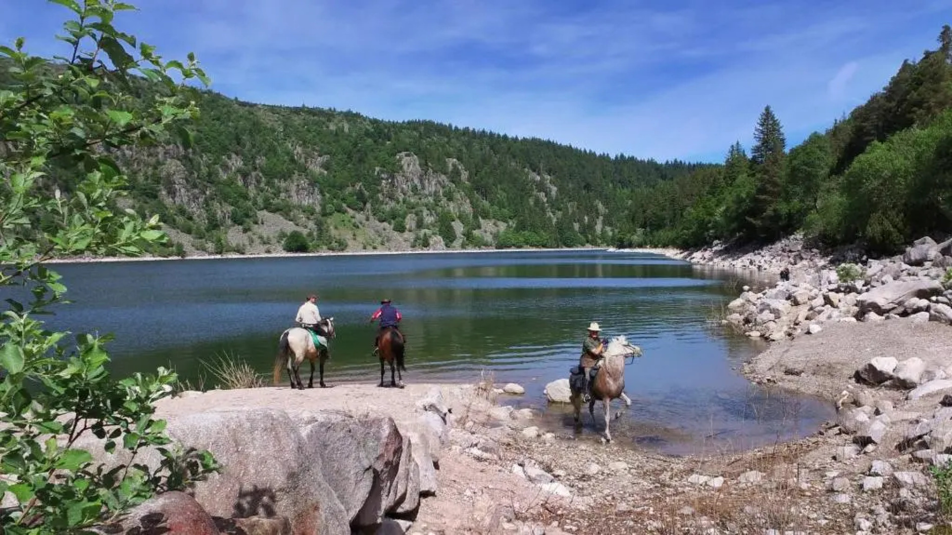 VVF Club Intense La Route des Vins d'Alsace Orbey