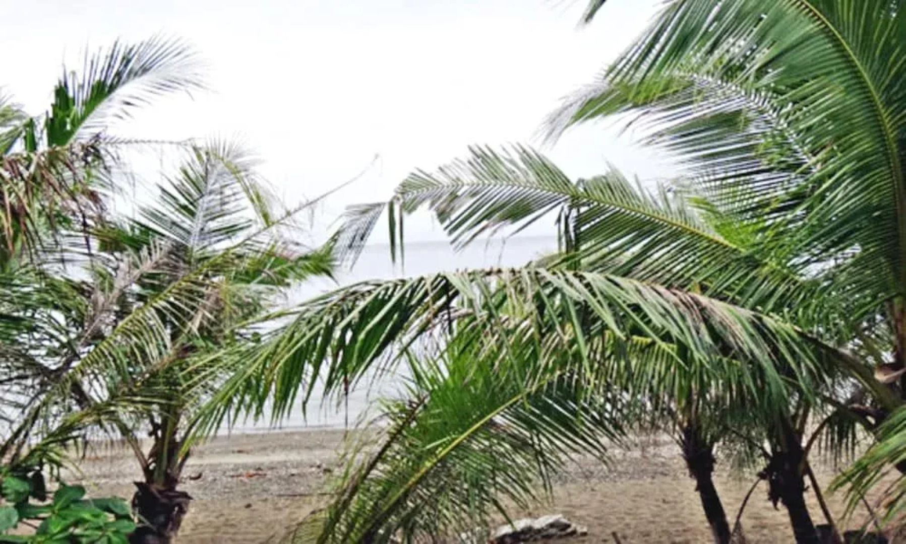 Eastpoint Hotel by the Sea