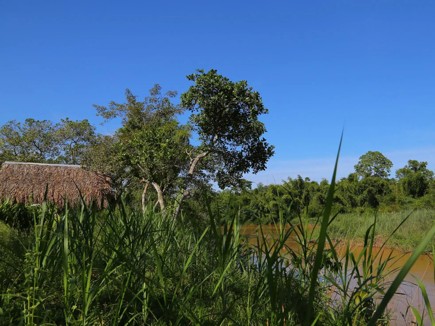 Cat Tien Forest Call Lodge