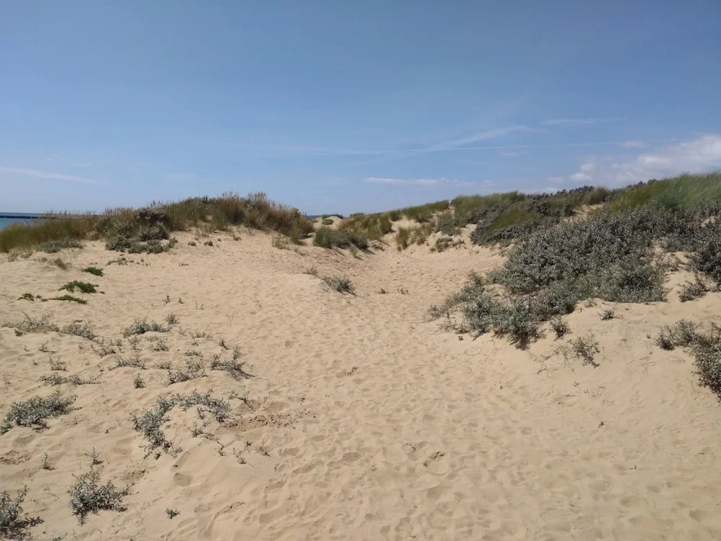 Stream House Luxury B&B