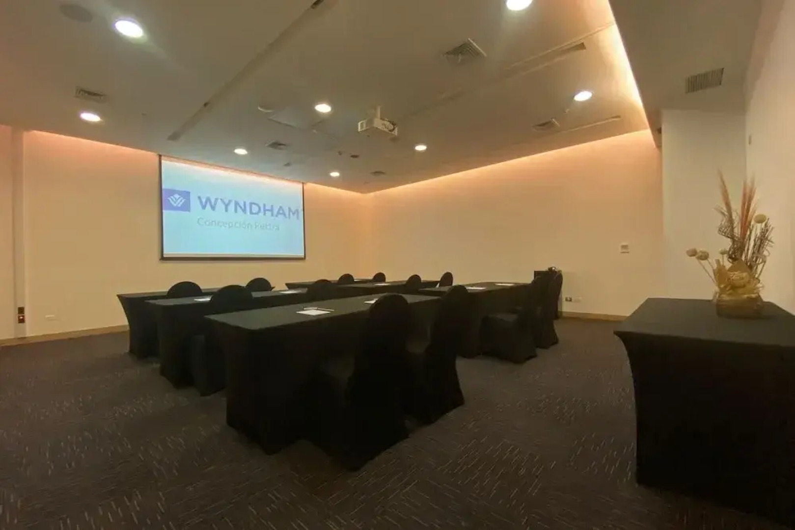 Hotel Pettra Concepcion