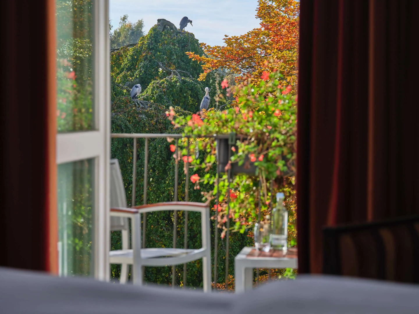 Steigenberger Inselhotel