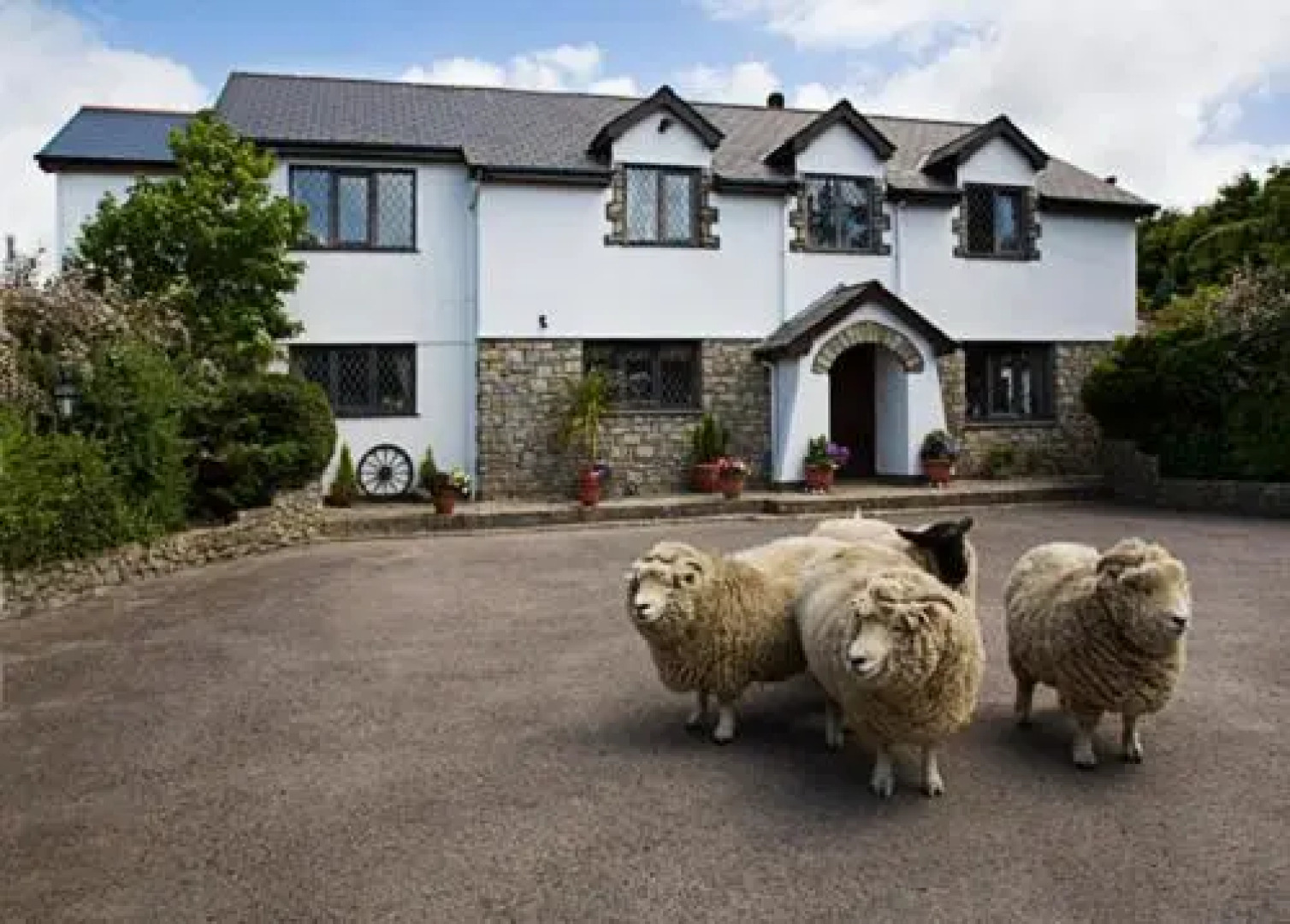 Sheepleys B&B