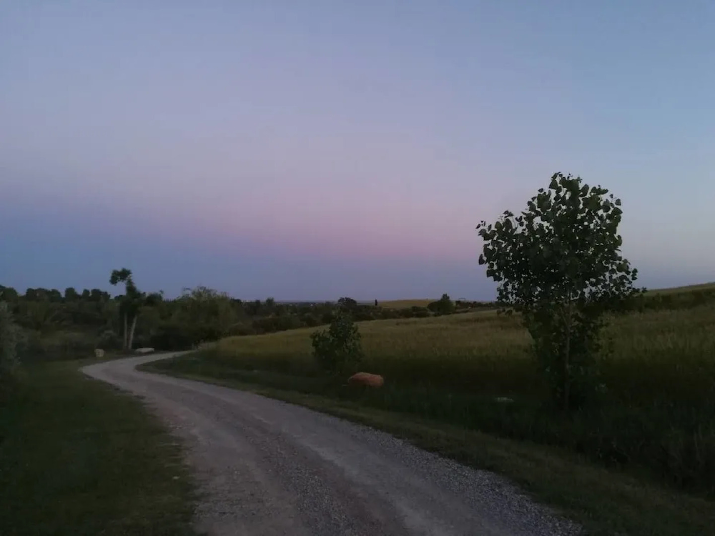 VILLA in TUSCAN MAREMMA. SEA&COUNTRYSIDE CAPALBIO Holiday home 8 BestS