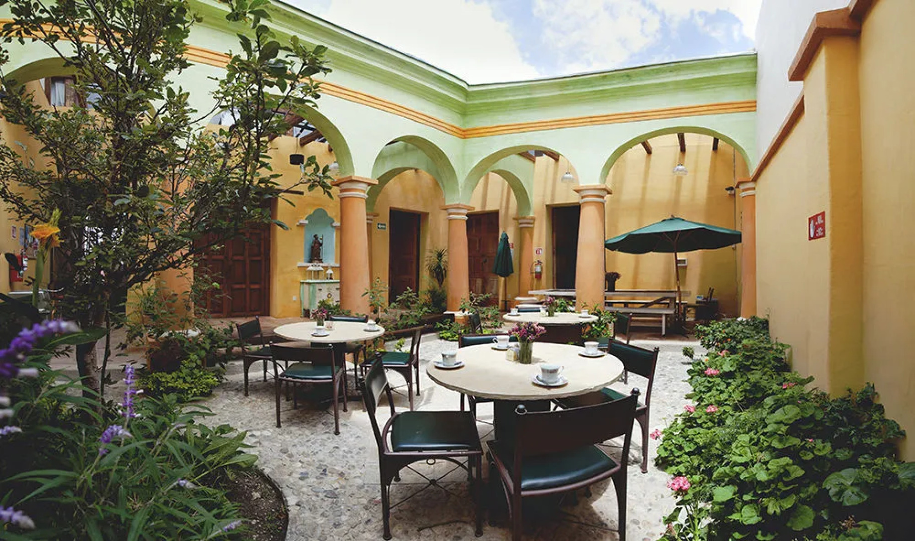 Snail Bed and Breakfast - Hostel - Adults only