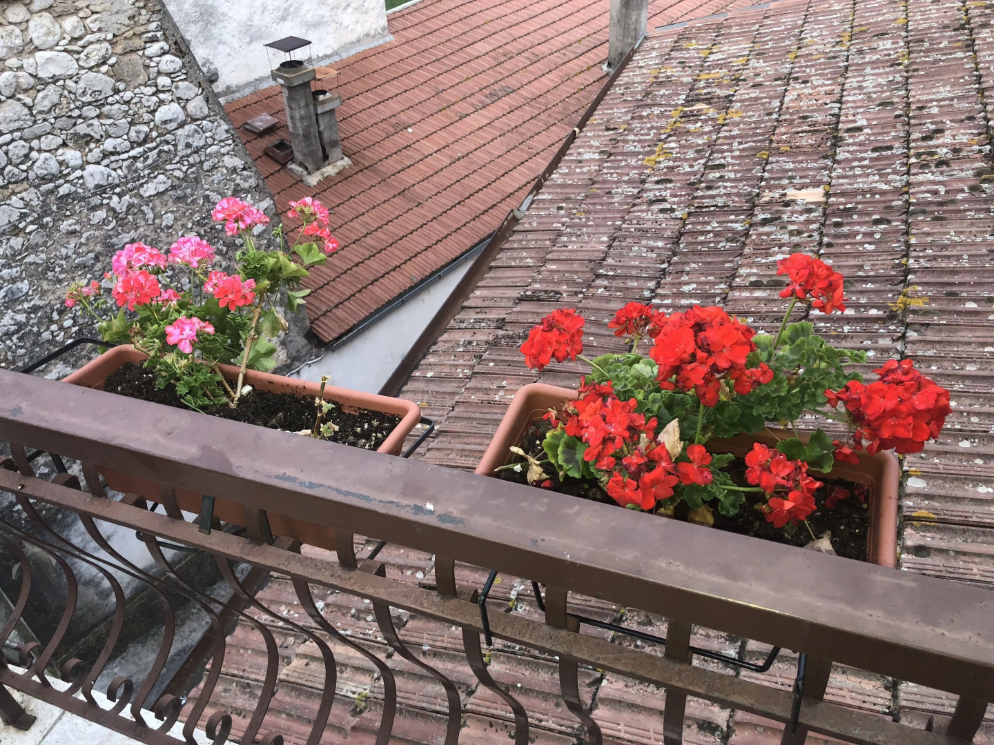 Bed and Breakfast Il Cavaliere