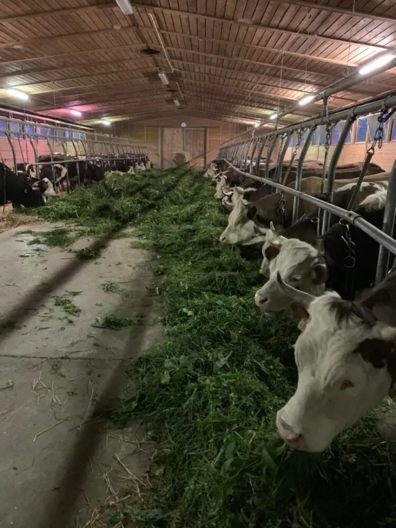 Agriturismo La Grange