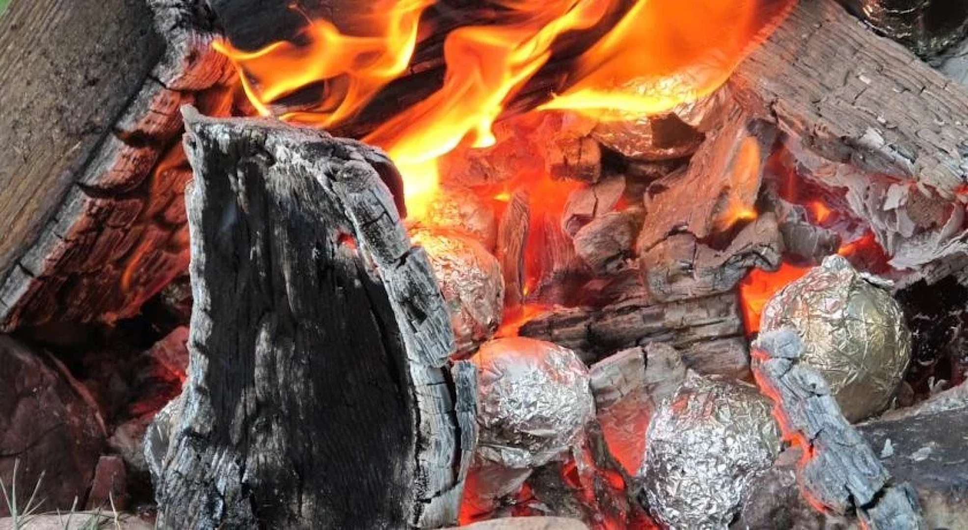 Wiesenbauer - Schlögl Anton