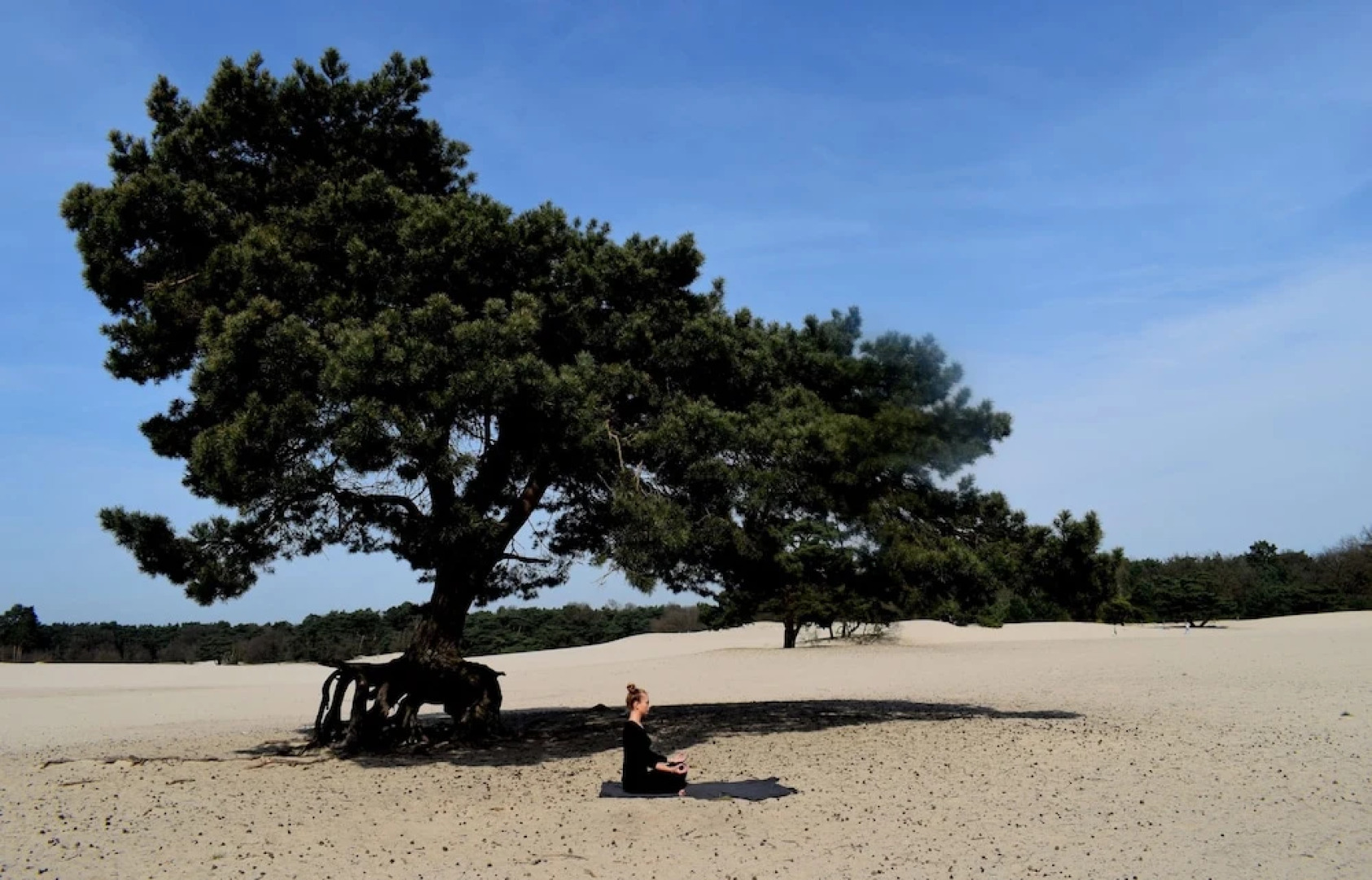 Hilton Royal Parc Soestduinen