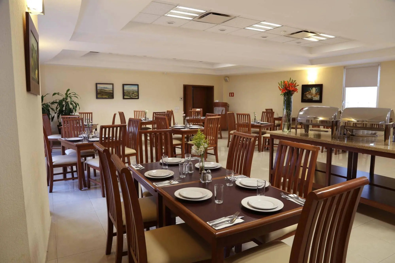 Ejecutivo Express Guadalajara Providencia - Av México