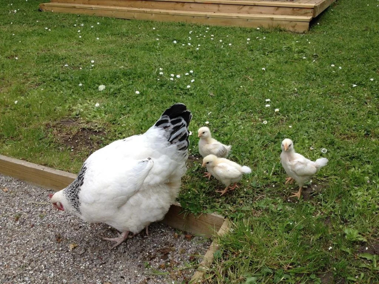 Kildegaarden Bed & Breakfast