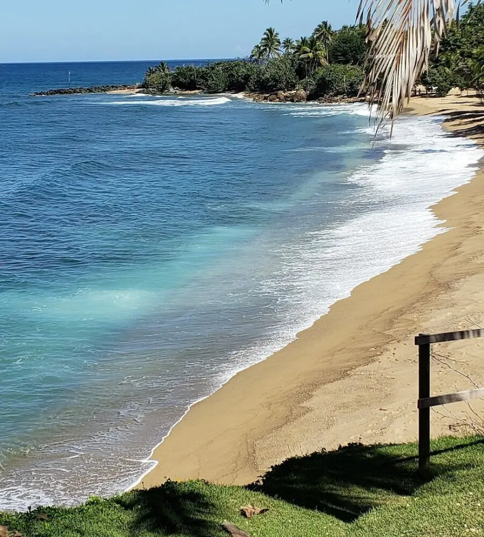 Aqua Luna Vacation Rentals