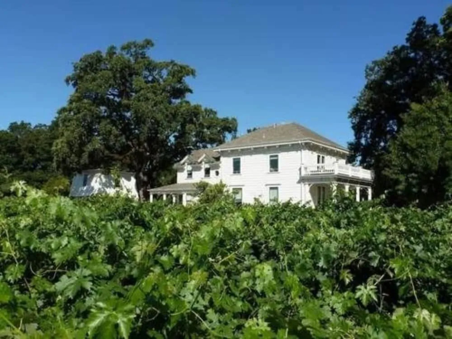 Inn at Salvestrin Winery