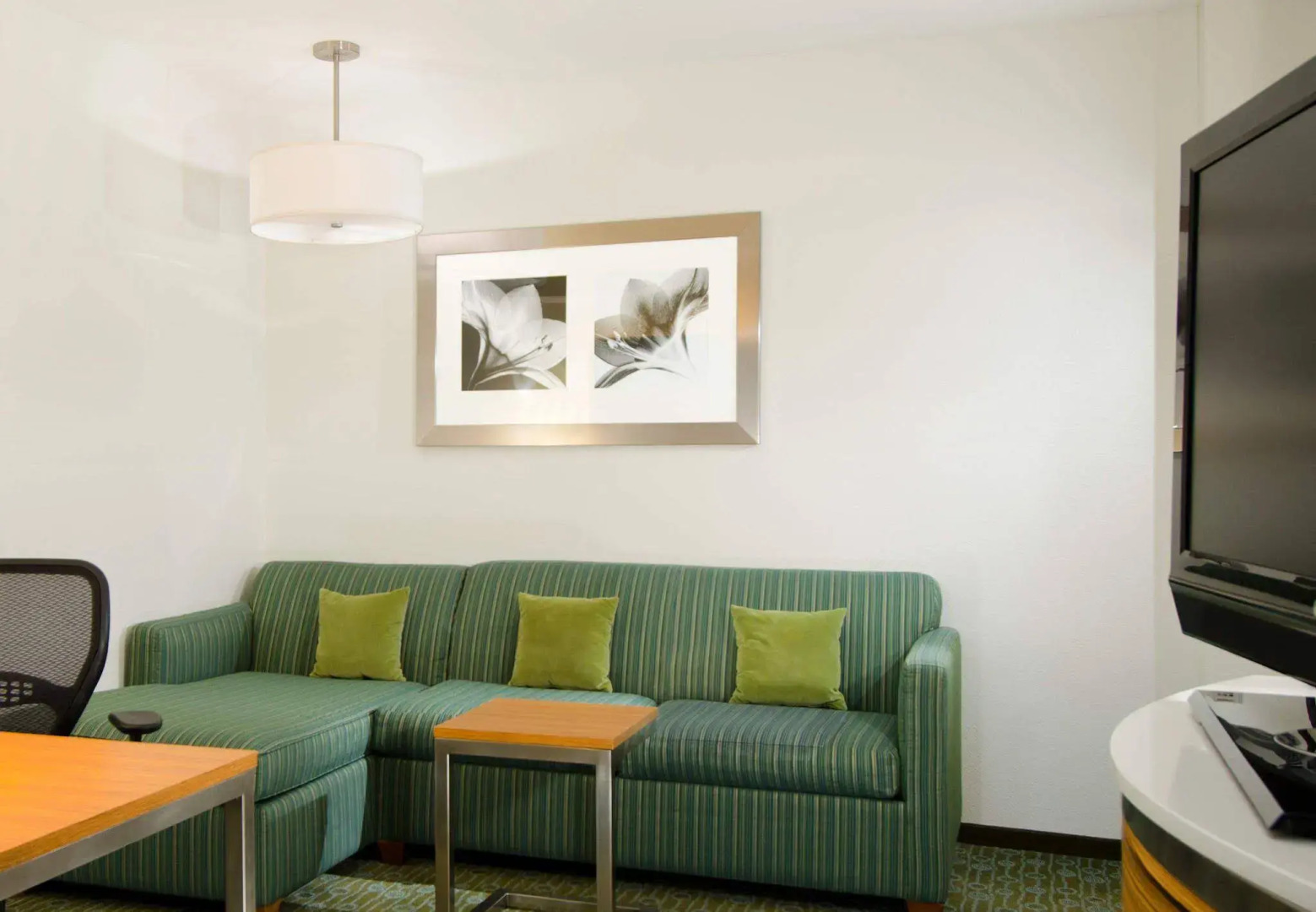 SpringHill Suites by Marriott St. Louis Airport/Earth City