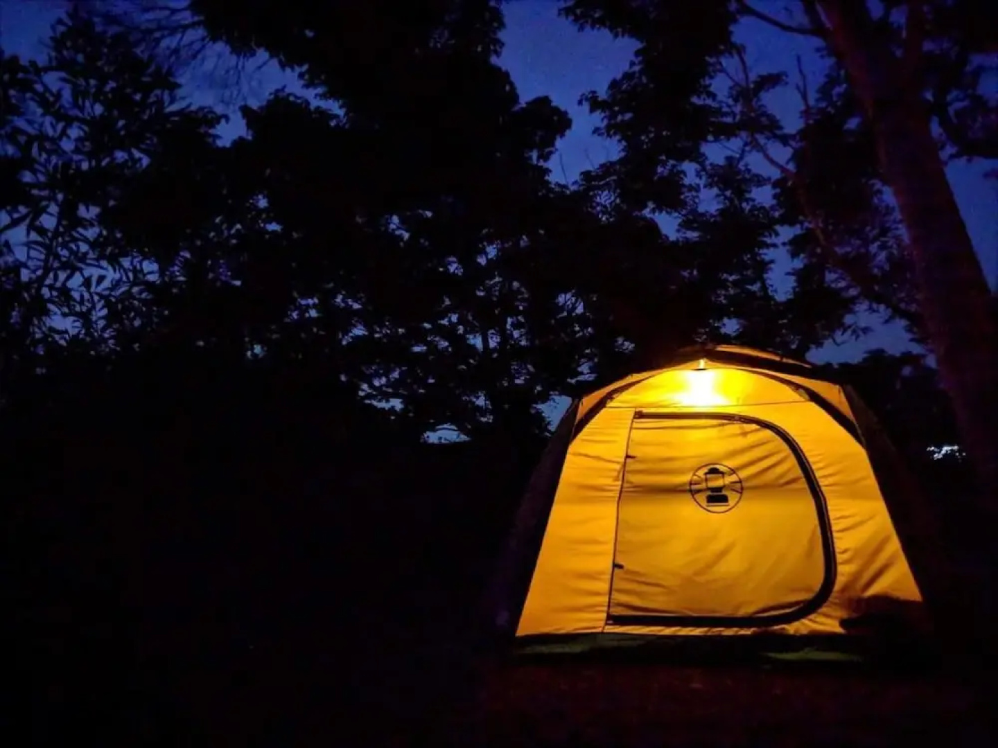 Okinawa BBQ Beer Garden & Campsite