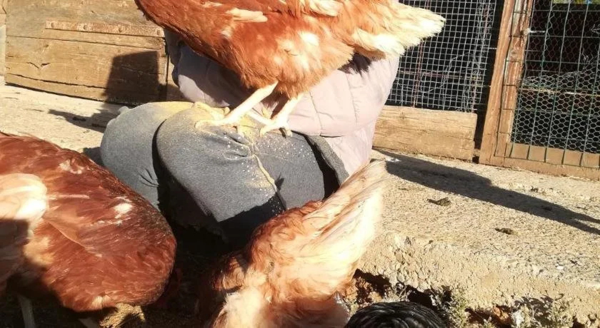 Agriturismo La Svolta