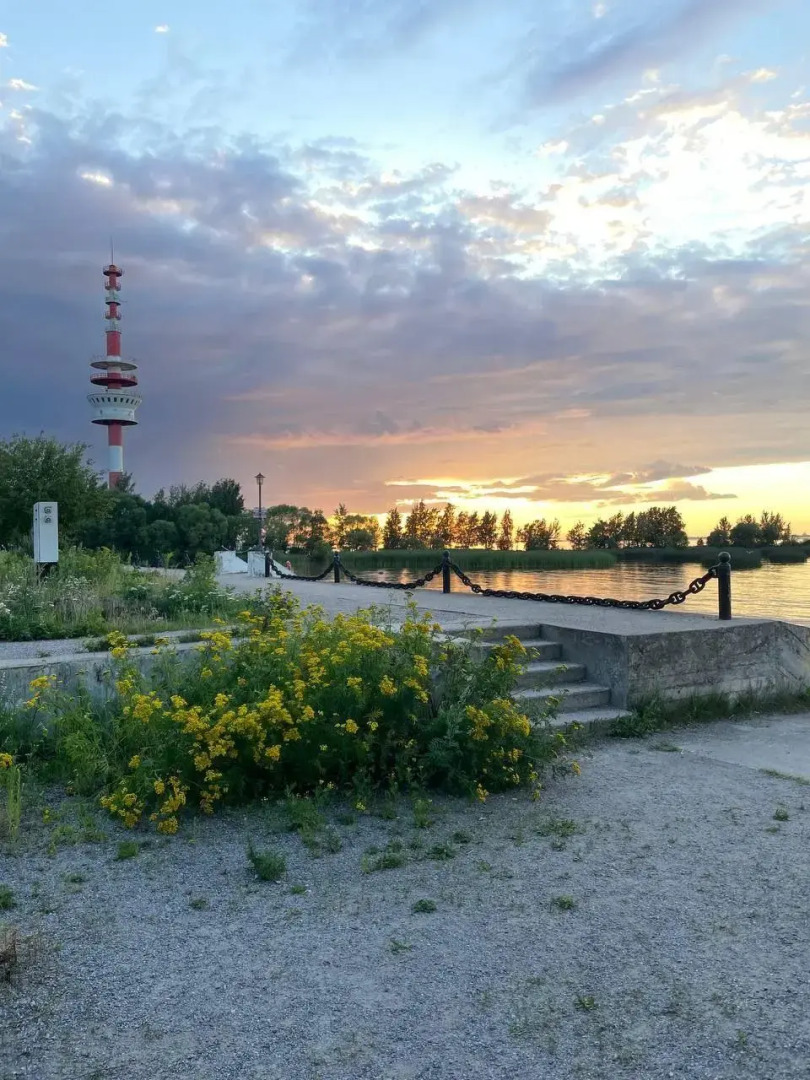 Таунхаус в Петергофе