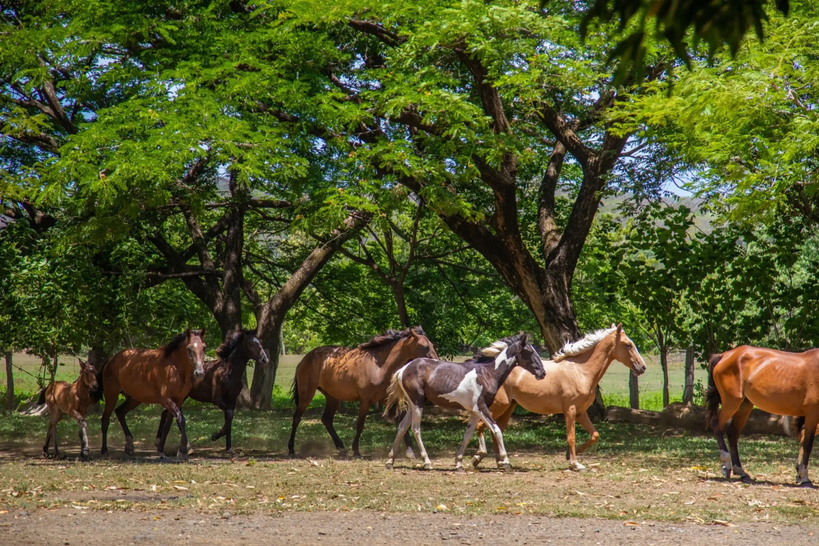 Rancho Humo Estancia