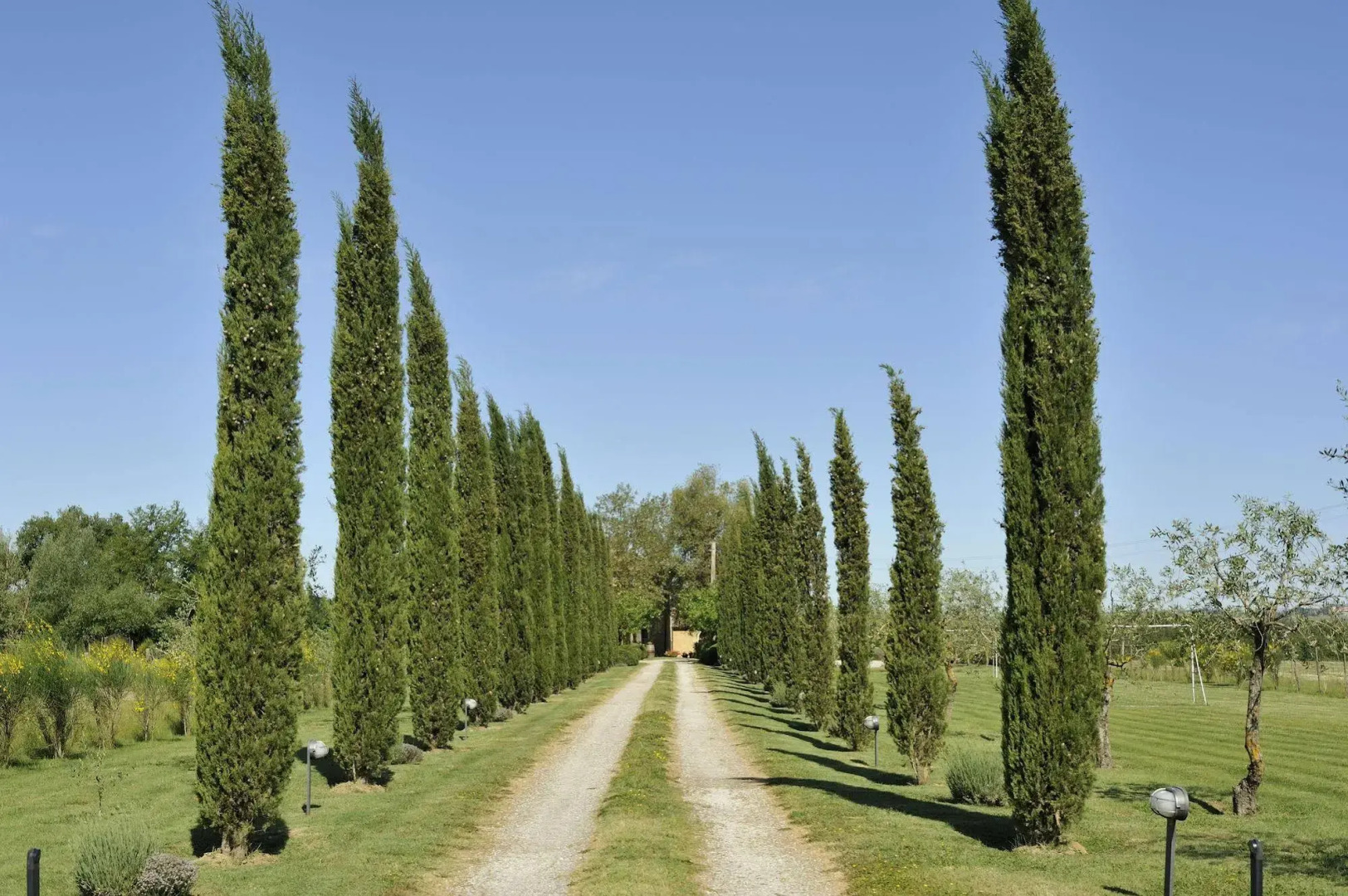 Agriturismo La Lodola