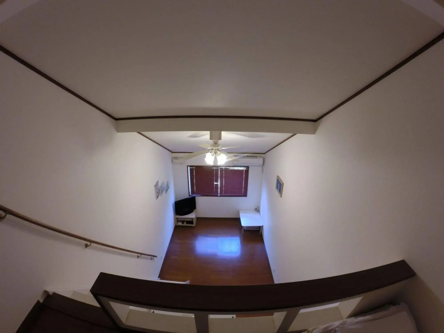 Flying Sumo Surf Company