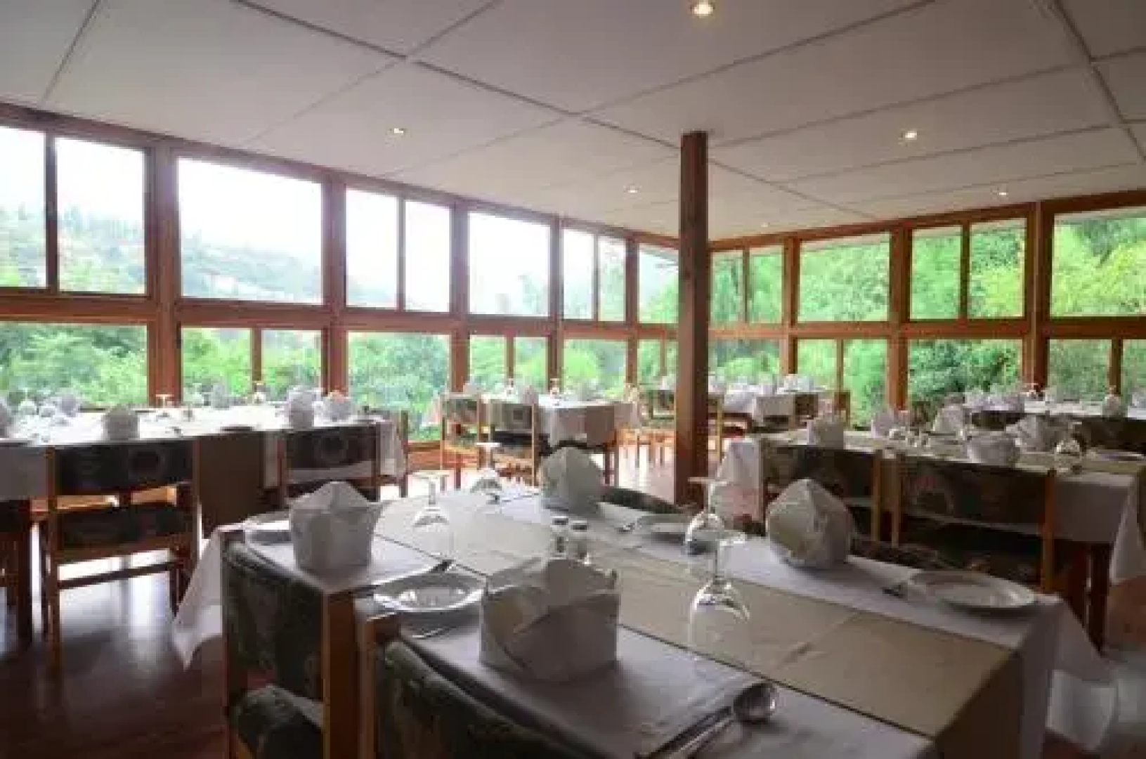 Dragons Nest Resort
