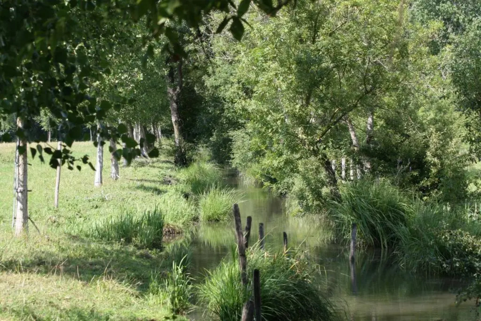 L'Écurie du Marais