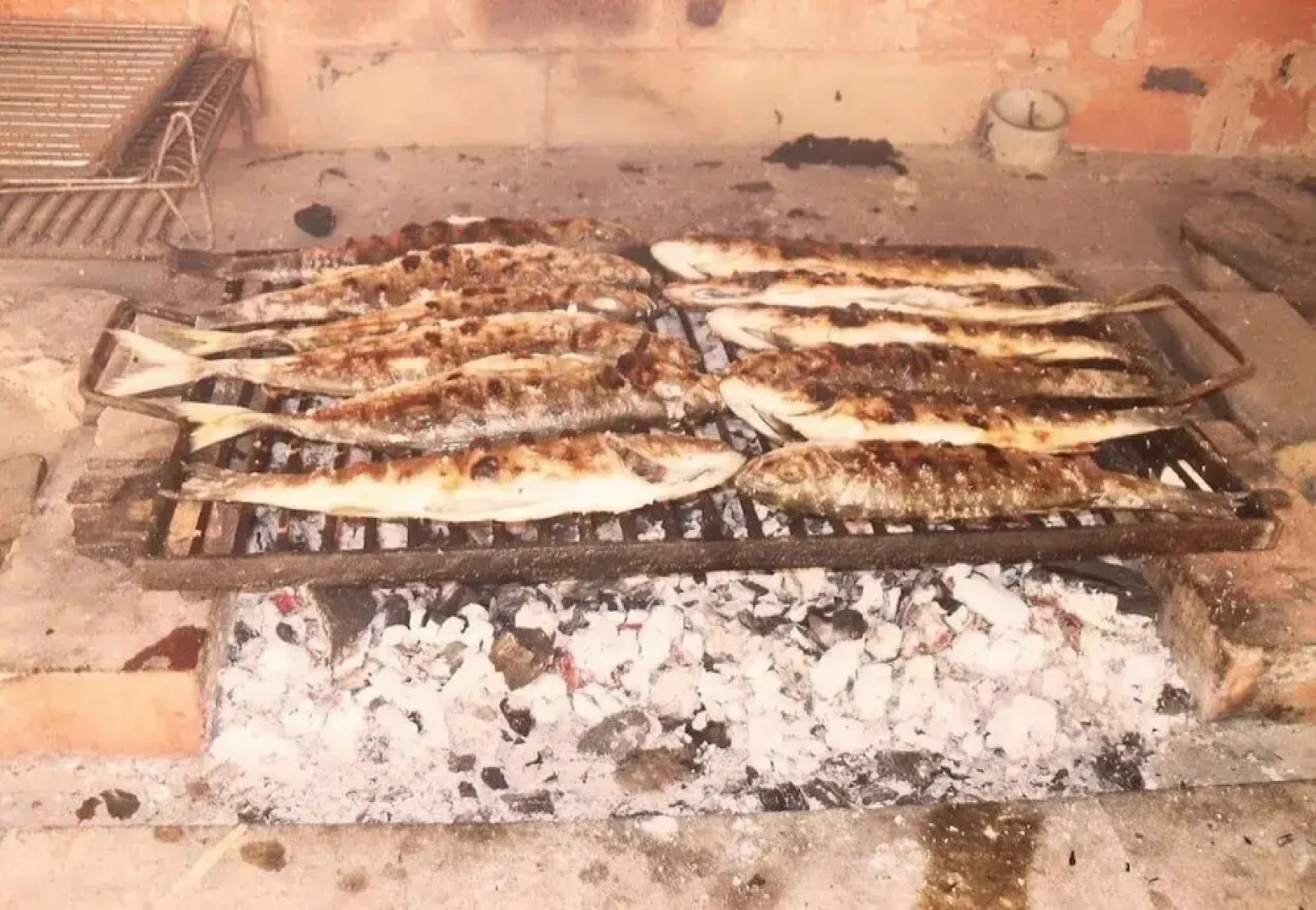 Mario - With Garden - A1