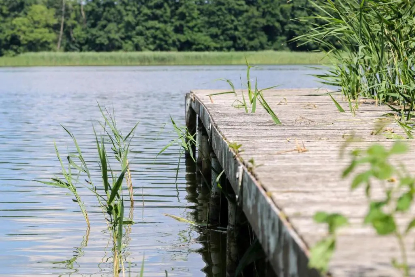 Ferienidyll am Großen Wentowsee