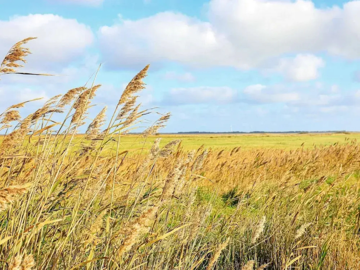 8 Person Holiday Home in Ulfborg-by Traum