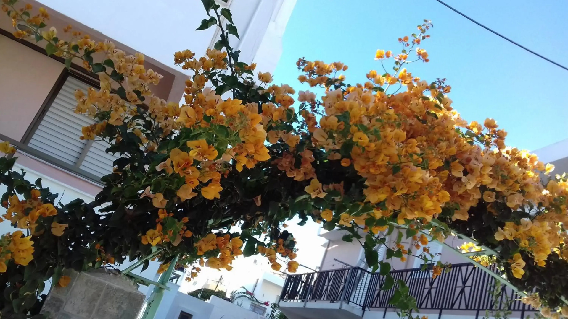 Kardamena Holiday Apartments