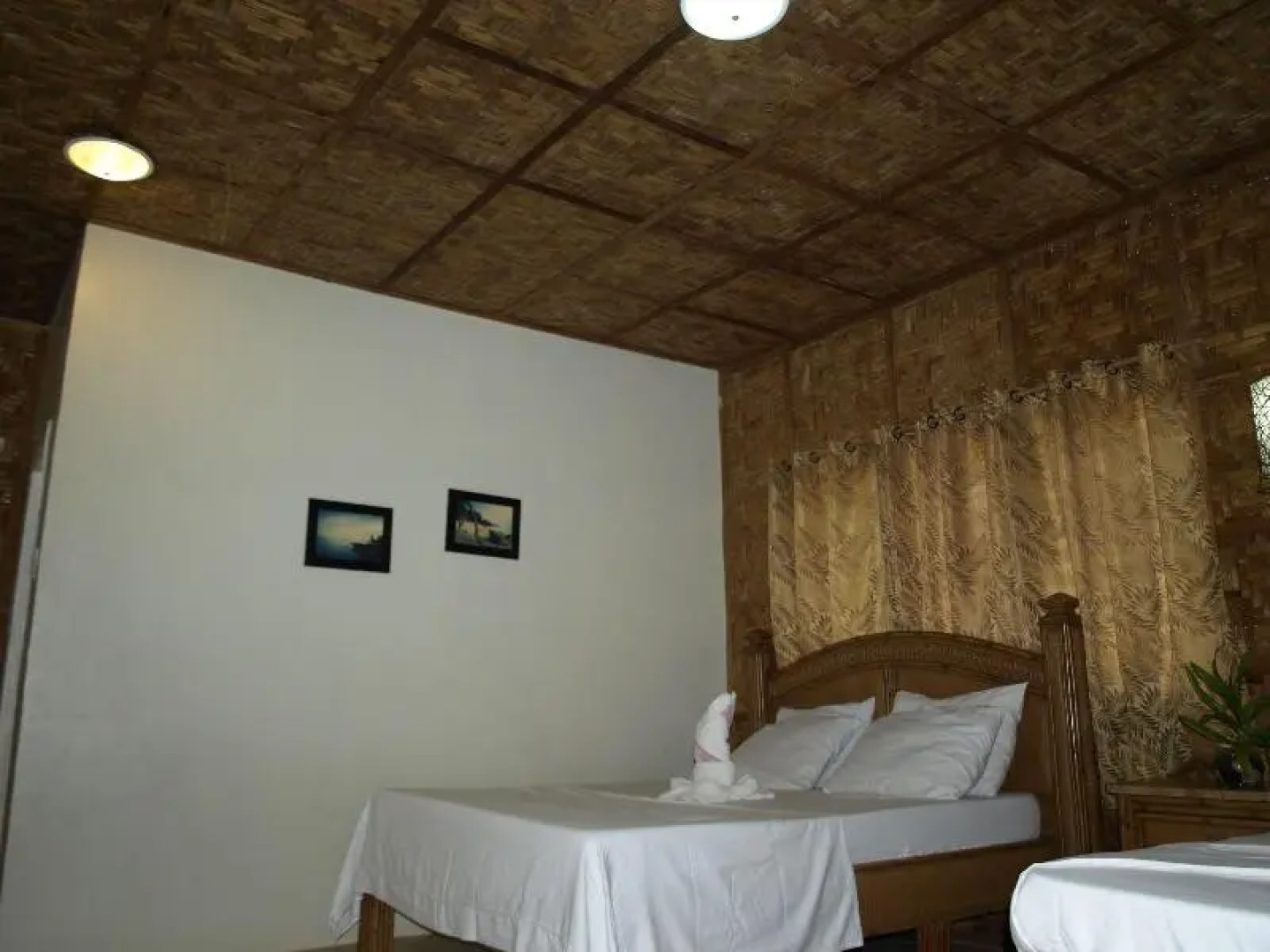 The Sharks Tail Dive Center