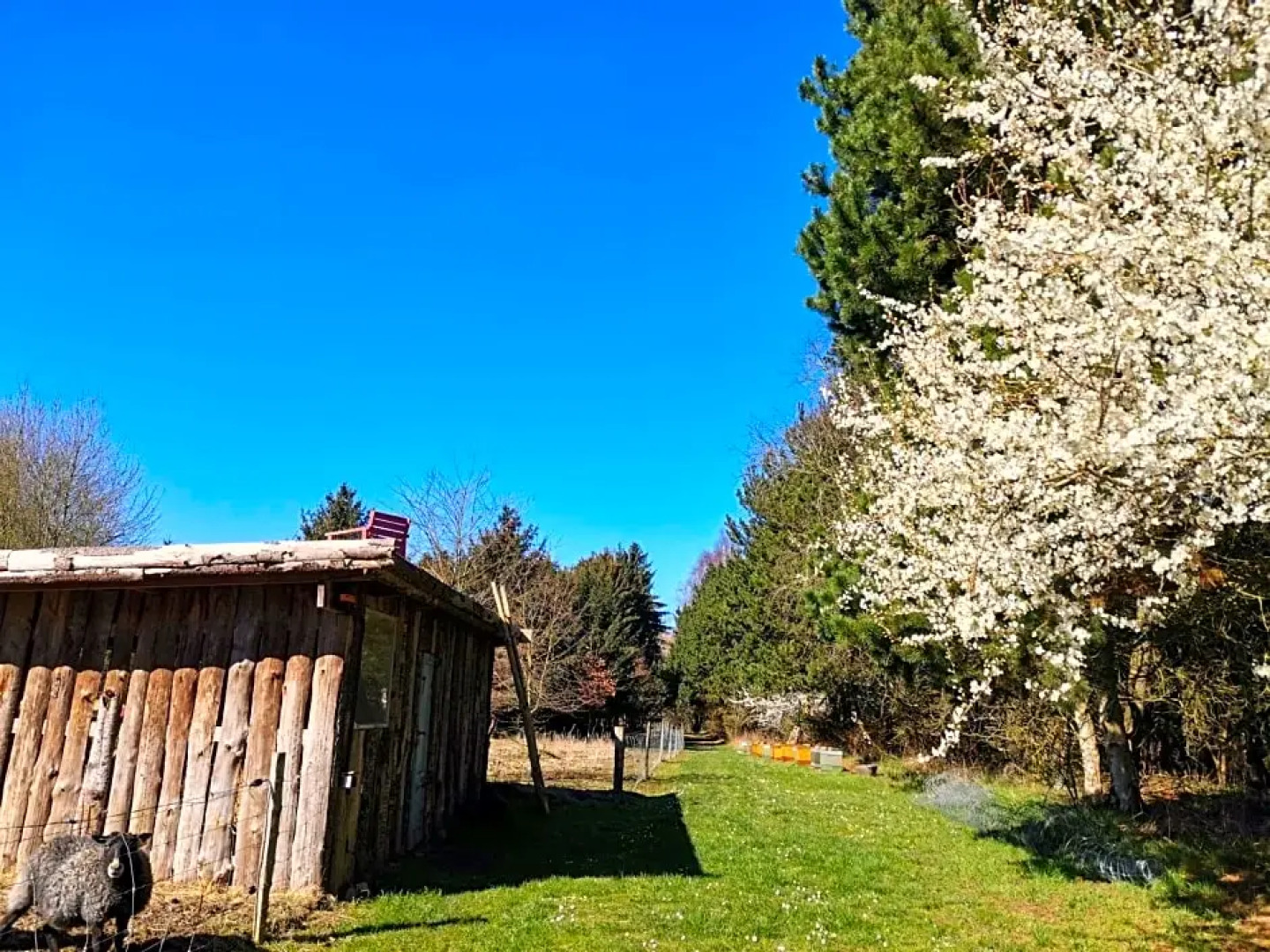 Mikrogaarden shared kitchen&bathroom