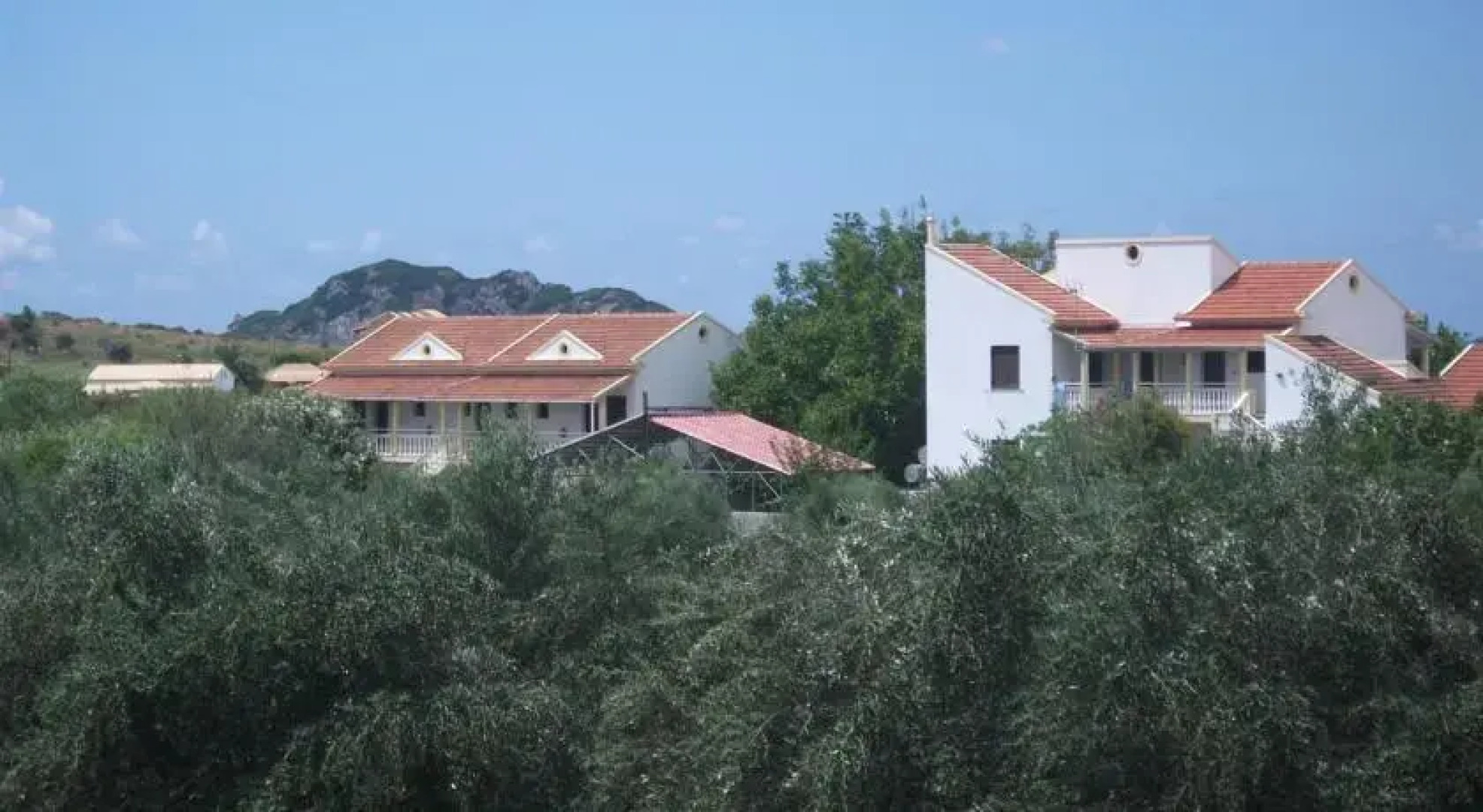 Alexandros Walnuttree Arillas Corfu