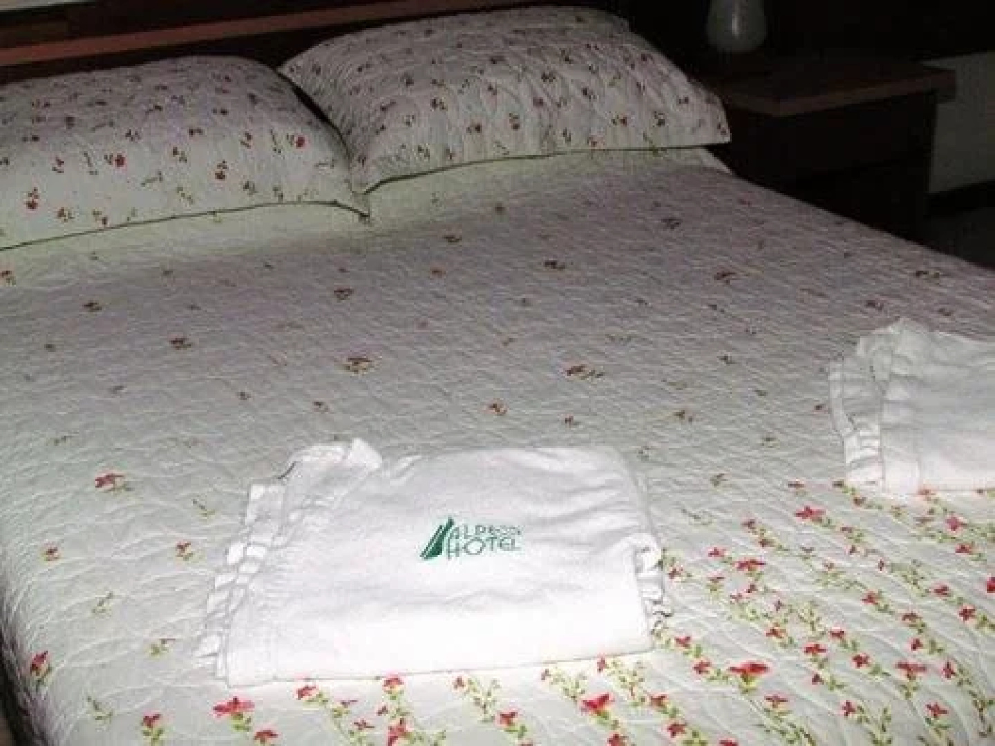 Alpes Hotel